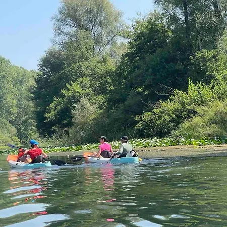 Villa Skadar House Bobija Podgorica